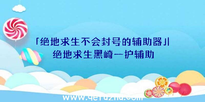 「绝地求生不会封号的辅助器」|绝地求生黑崎一护辅助